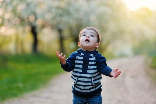 Carino bambino all'aperto guardando verso l'alto — Foto Stock