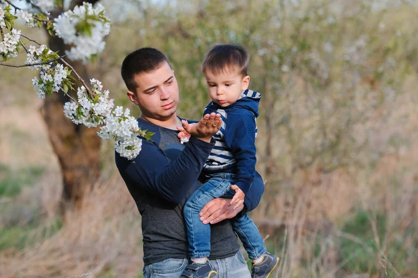 Pai e filho no jardim da primavera — Fotografia de Stock