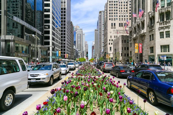 Chicago'da ilkbahar