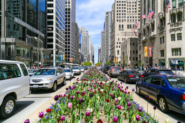 Spring in Chicago