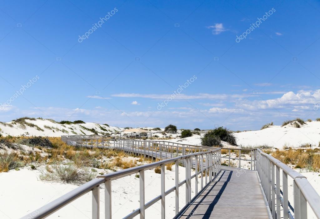 Interdune boardwalk