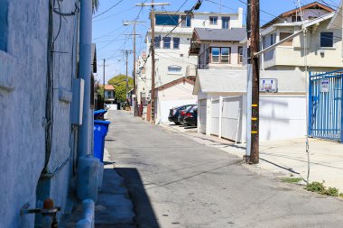 Venice Beach'te yaşayan