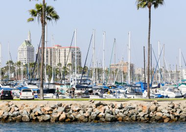 Gemi direkleri orman