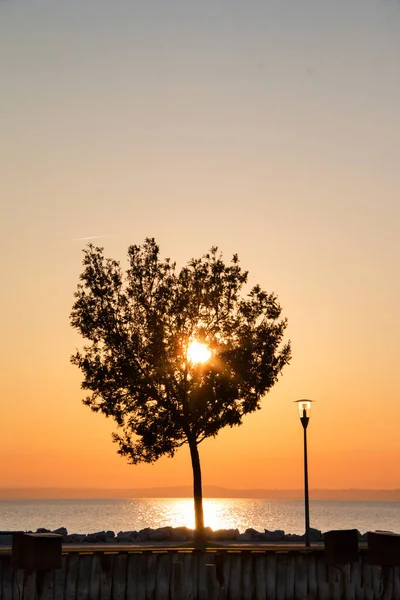 Lonely tree against sunset sky with golden sun above the sea low horizon, setting sun landscape of colourful heaven over the water with silhouette of tree and lamppost on walkway