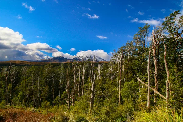 Active Volcanic Mountain Ngauruhoe Adventurous Mountain Hiker Back View Backpack — Stockfoto