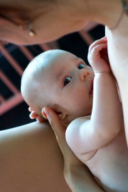 Güzel bebek emziriyor, anne kucağında küçük bir bebek tutuyor ve onu anne sütüyle besliyor, bebek yumuşak bir şekilde annesinin tenine dokunuyor ve tatlı mavi gözlerle bakıyor.