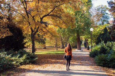 Renkli ağaçlar ve çalılarla dolu asfalt yol, sonbaharda huzurlu şehir parkı, dikiz aynasından bir kadın yürüyor, güneşli bir günde.