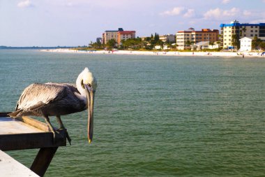 Key West 'teki Sunset Key tatil köyünün tropik turkuaz mavi suları, denizde tekne, kumlu plaj, palmiye ağaçları, lüks sahil evleri mükemmel tatil, Florida