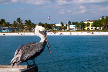 Key West 'teki Sunset Key tatil köyünün tropik turkuaz mavi suları, denizde tekne, kumlu plaj, palmiye ağaçları, lüks sahil evleri mükemmel tatil, Florida