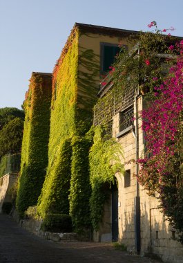 Ev duvarları renkli yapraklarda