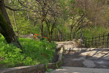 Budapeşte 'deki Gellert Tepesi. Macaristan