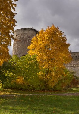 Izborsk Kalesi 'nin Vyshka (Uzun) kulesi. Rusya