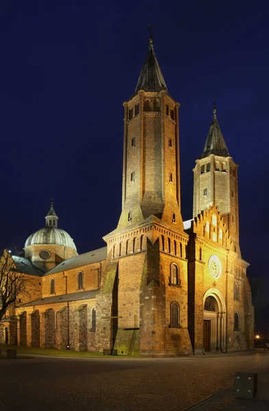 Catedral Virgen María Plock Polonia — Foto de Stock