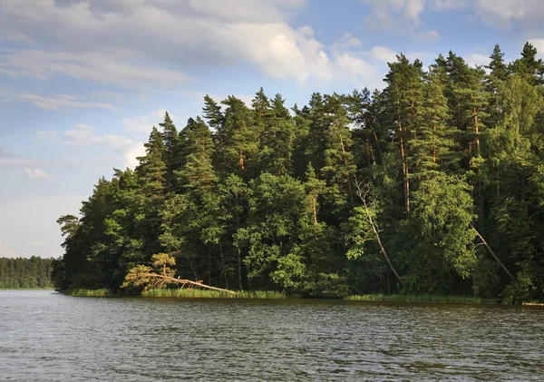 Lago Rospuda Vicino Augustow Polonia — Foto Stock