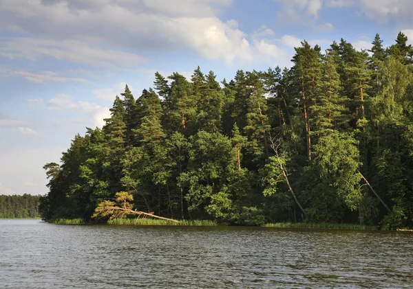 Lago Rospuda Perto Augustow Polónia — Fotografia de Stock