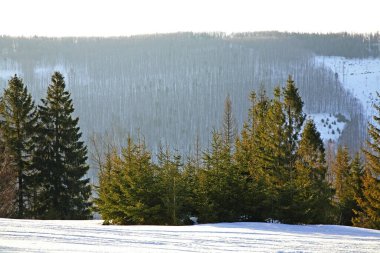 Silesian Beskids manzarası. Polonya
