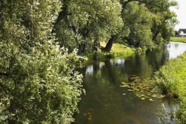Elk Nehri 'nin Wiew' ı. Polonya