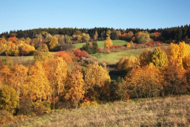 Cesky Krumlov yakınlarındaki manzara. Çek Cumhuriyeti