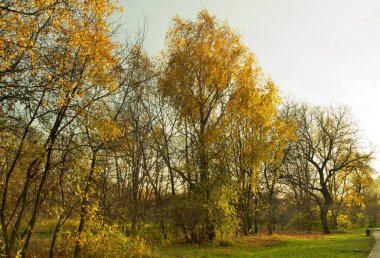 Kolomenskoye 'ye park et. Moskova. Rusya