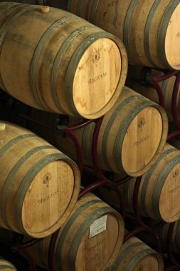 Serdiana 'daki şarap mahzeni. Sardunya adası. İtalya