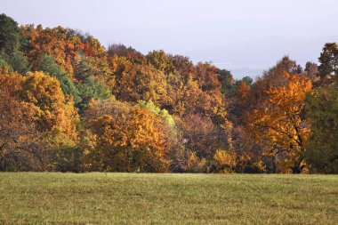 Bojnice yakınlarındaki manzara. Slovakya