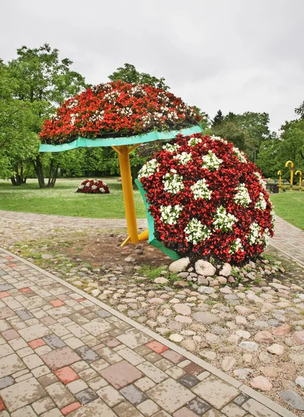 Parque Sigulda Letonia — Foto de Stock