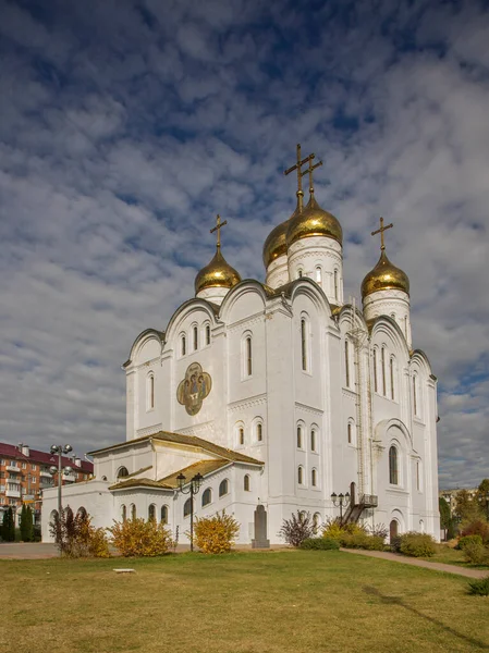 Dreifaltigkeitskathedrale Brjansk Russland — Stockfoto