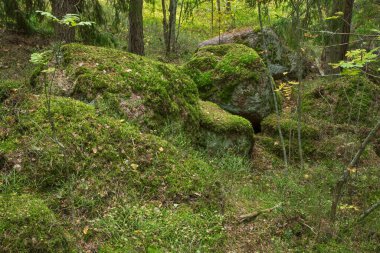 Monrepos parkının manzarası. Vyborg kasabası. Rusya