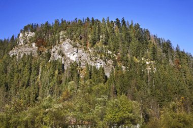 Zakopane yakınlarındaki Lysa Polana dağları. Polonya