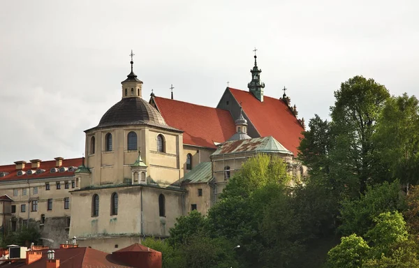Basílica San Estanisaw Mártir Biskupa Basílica Reliquia Árbol Lublin Polonia —  Fotos de Stock