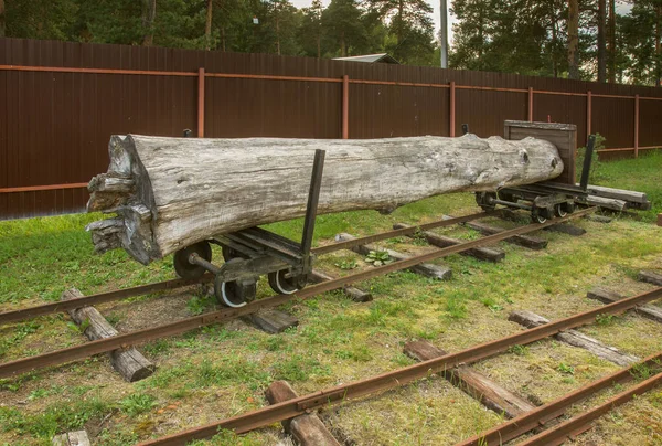 Kukushka Cuckoo Pereslavl Railway Museum Talitsy Village Pereslavl Zalessky Russia — Stock Photo, Image