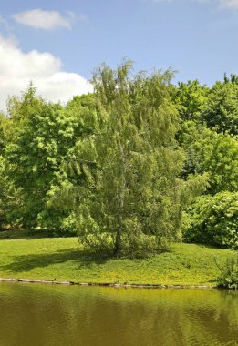 Zamosc 'ta park et. Polonya