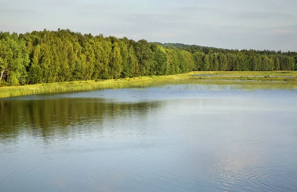 Озеро Ехо Поблизу Звіржинець Польща — стокове фото