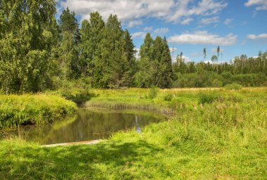 Uglich ilçesine bağlı Divnaya Gora (Harika Dağ) köyü yakınlarındaki Vorzhekhot nehri. Rusya