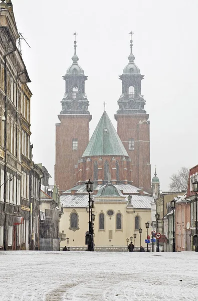 Королевский Гнезненский Собор Польша — стоковое фото