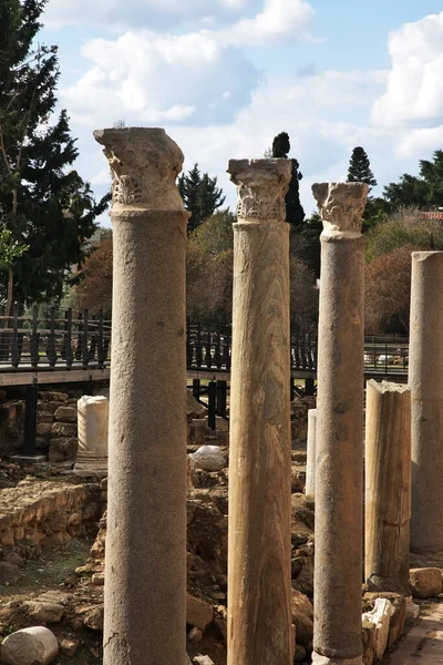 Bazilika Panagia Chrysopolitissa Pathos Taki Agia Kiriaki Kilisesi Kıbrıs — Stok fotoğraf