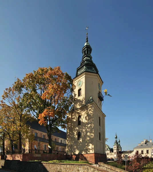 Cathedral Basilica Antagelse Hellige Jomfru Maria Kielce Polen - Stock-foto