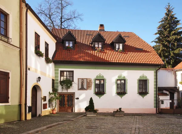 Vecchia Strada Ceske Budejovice Repubblica Ceca — Foto Stock