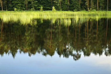 Echo Gölü, Zwierzyniec yakınlarında. Polonya