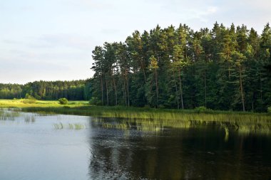 Echo lake near Zwierzyniec. Poland clipart