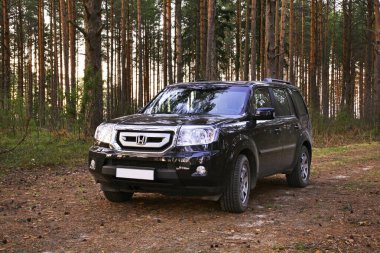 Toropet yakınlarındaki ormanda bir araba. Tver Oblastı. Rusya