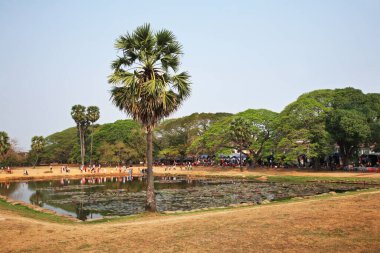 Angkor Wat 'daki havza - Başkent tapınağı. Siem Reap bölgesi. Kamboçya