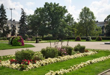 Wloclawek 'teki Özgürlük Meydanı. Polonya