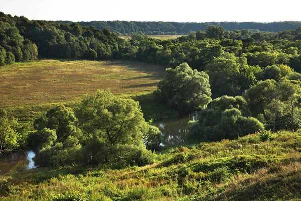 Borovsk yakınlarındaki Protva nehri. Kaluga Oblastı. Rusya