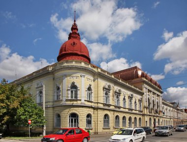 Oradea Tıp Fakültesi. Romanya