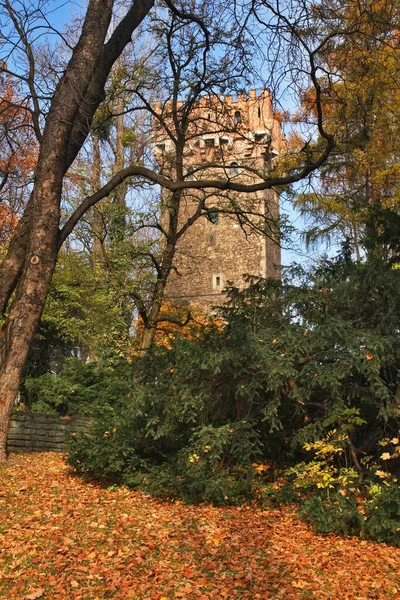 Torre Piast Cieszyn Polonia — Foto de Stock