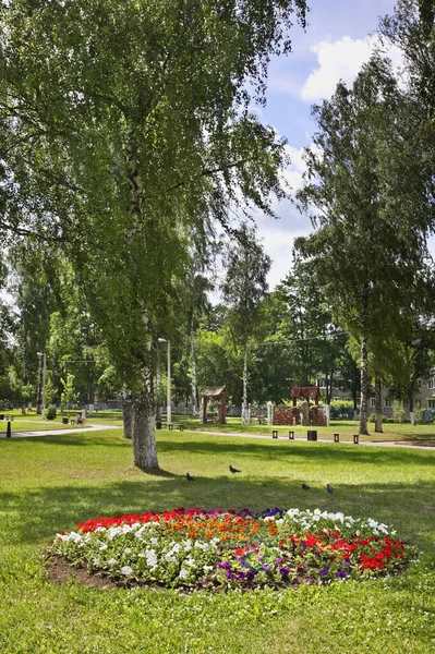 Городской Парк Луховицах Россия — стоковое фото