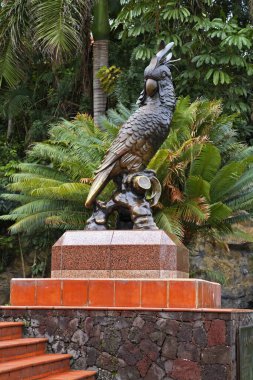 Puerto de la Cruz 'daki Loro Parkı. Tenerife. İspanya