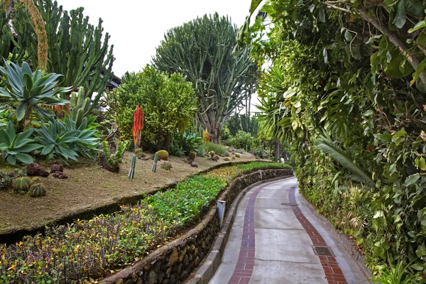 Puerto de la Cruz 'daki Loro Parkı. Tenerife. İspanya