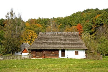 Sanok 'taki halk mimarisi müzesinde eski bir ev. Subcarpathian Voyvoda. Polonya